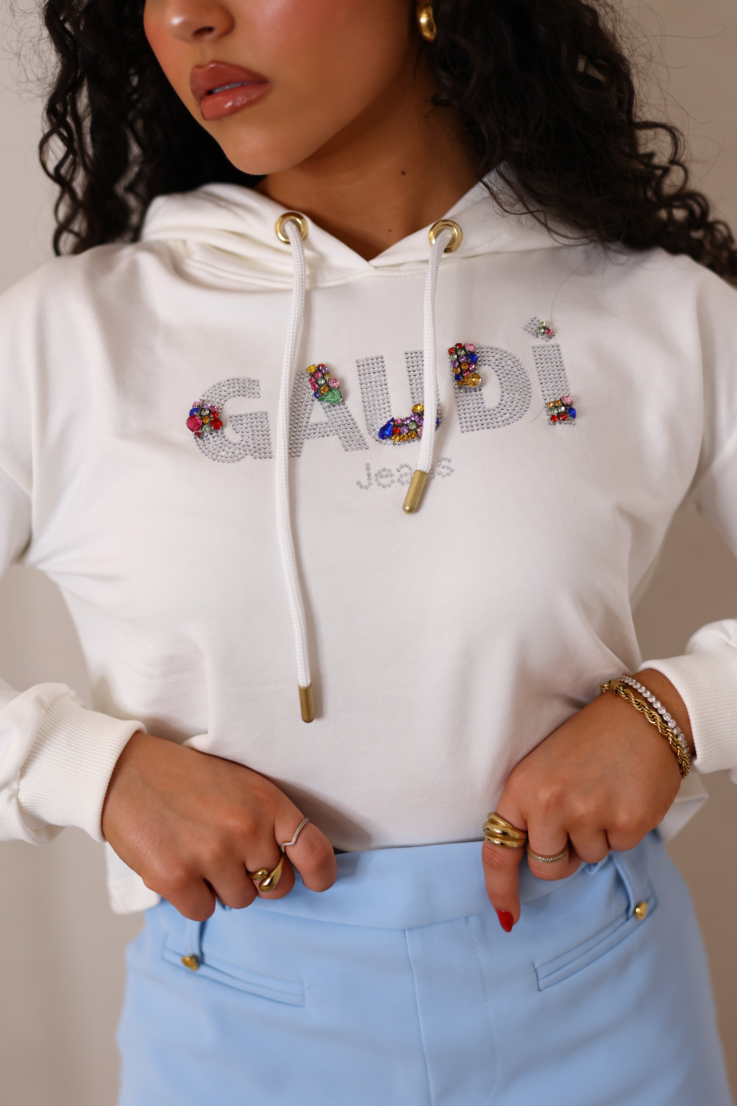 HOODIE COM BRILHO GAUDI